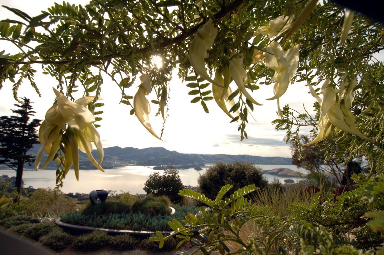 Larnach Lodge & Stable Stay Dunedin Exterior foto